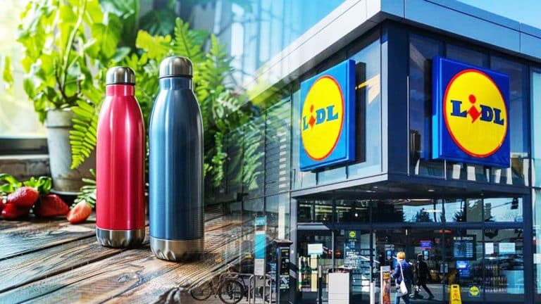 Les gourdes isothermes chez Lidl à moins de 4 euros : une opportunité pour agir en faveur de l’environnement