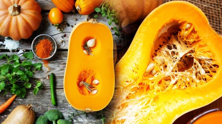 Les 5 astuces pour des recettes faciles et délicieuses avec la butternut, l’étoile de l’automne