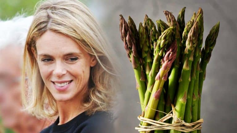 Les secrets de Julie Andrieu pour des asperges sublimées : découvrez comment élever vos repas estivaux