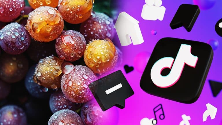 Les raisins Cotton Candy : pourquoi cette variété suscite-t-elle autant d’engouement sur TikTok ? Découvrez les secrets de cette sensation fruitée