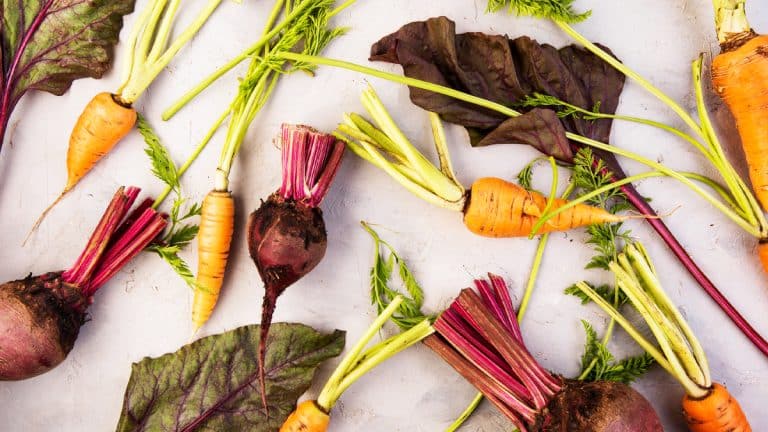 Redécouvrez les légumes racines : des recettes originales pour émerveiller vos papilles et réchauffer vos soirées