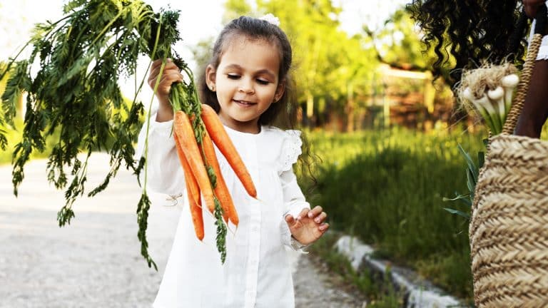 Les légumineuses en fête : 12 recettes amusantes pour les enfants qui feront de chaque bouchée une aventure