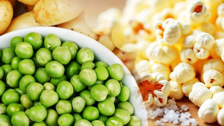 Découvrez la magie des pois chiches transformés en pop corn croustillant : une recette simple et savoureuse