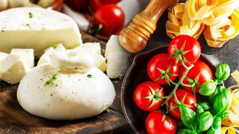 Explorez les délices au fromage de la cuisine italienne : une aventure culinaire que vous ne pourrez pas oublier