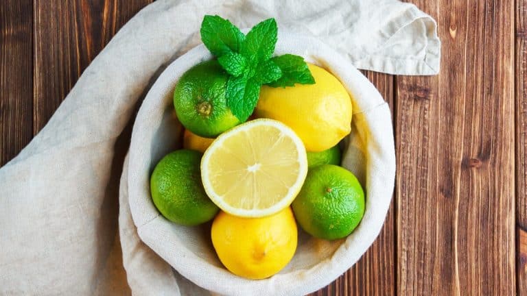 Découvrez les lemonies, une douceur citronnée qui réveillera vos papilles et illuminera vos goûters