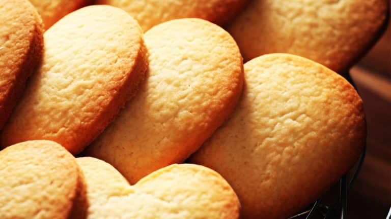 Redécouvrez les madeleines : 14 recettes aux fruits pour éveiller vos papilles et raviver vos souvenirs d’enfance