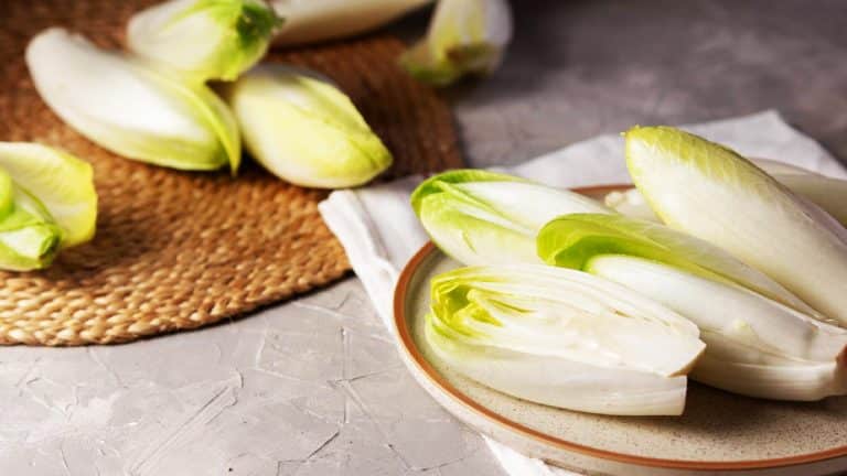 L’art de transformer les endives : des astuces et techniques pour chaque type de recette