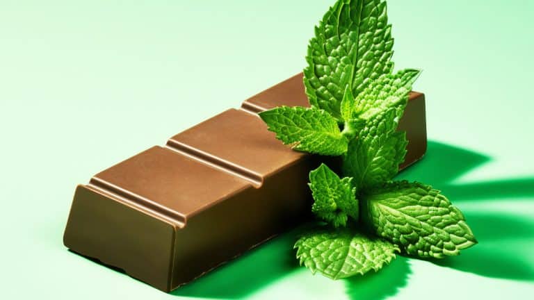 Les barres chocolatées à la menthe et pistache, une gourmandise signée par un grand chef