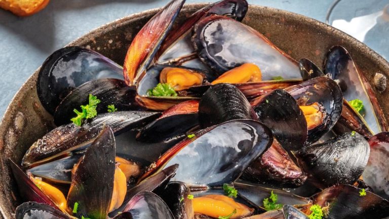 Vos moules préférées de La Cancalaise pourraient compromettre votre santé, vérifiez votre frigo