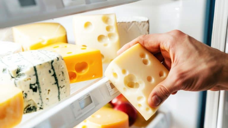 Les fromages et le congélateur : un duo gagnant pour éviter le gaspillage et conserver les saveurs ?