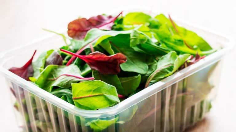 Les secrets pour maintenir votre salade fraîche plus longtemps : techniques et astuces infaillibles pour éviter le gaspillage