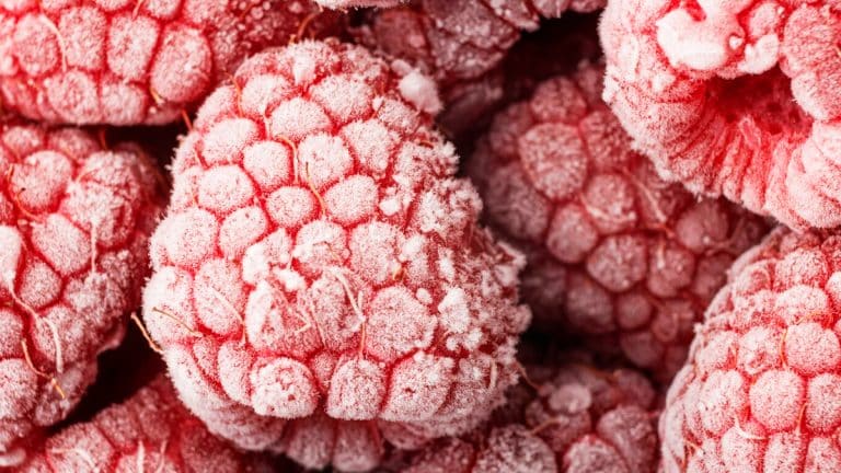 Les secrets pour conserver vos fruits de saison par la congélation durant octobre et profiter d’une fraîcheur inégalée tout l’hiver