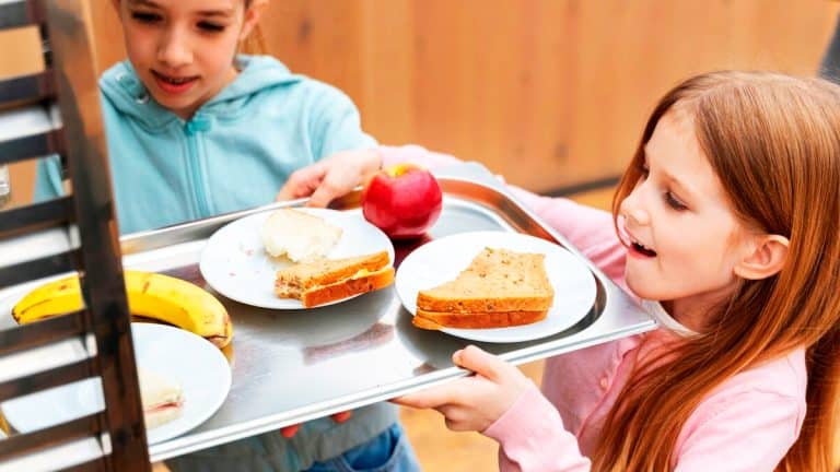 Votre enfant à la cantine : découvrez la réalité sur les menus bio et végétariens proposés