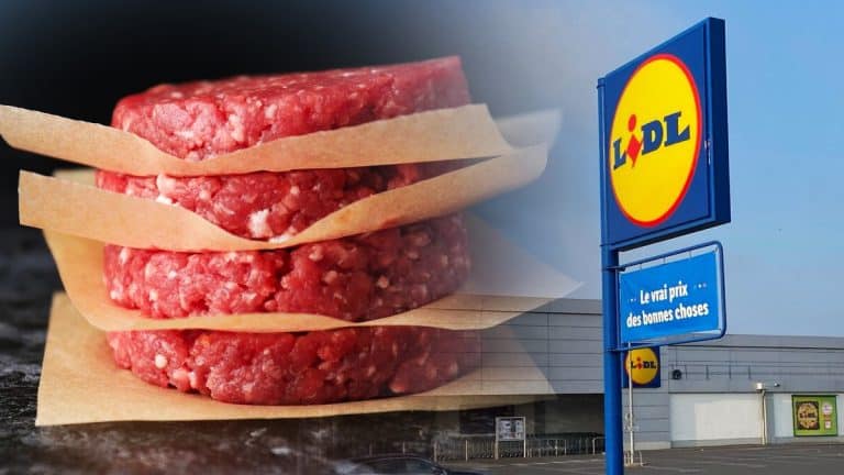 Alerte sanitaire à Lidl : des steaks hachés contaminés par des résidus médicamenteux