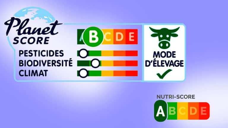 Comprendre les différences entre Nutri-Score et Planet-Score pour des choix éclairés en supermarché