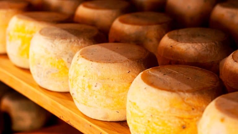 Découvrez les secrets du Rocamadour, un fromage unique directement de la ferme à votre table