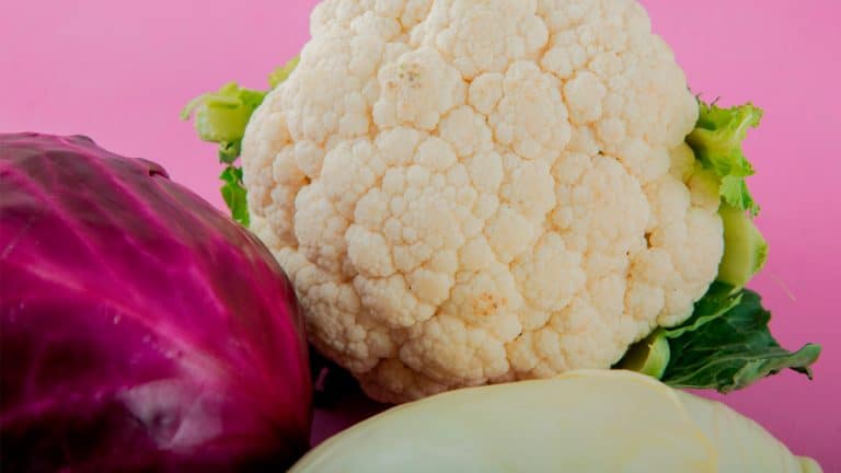 Découvrez cette salade riche en couleurs : brocoli, chou-fleur violet et concombre pour ravir vos sens