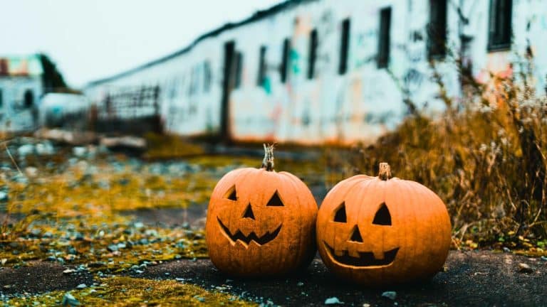 Après Halloween, votre citrouille décorative est-elle comestible ? Découvrez comment en profiter sans risques