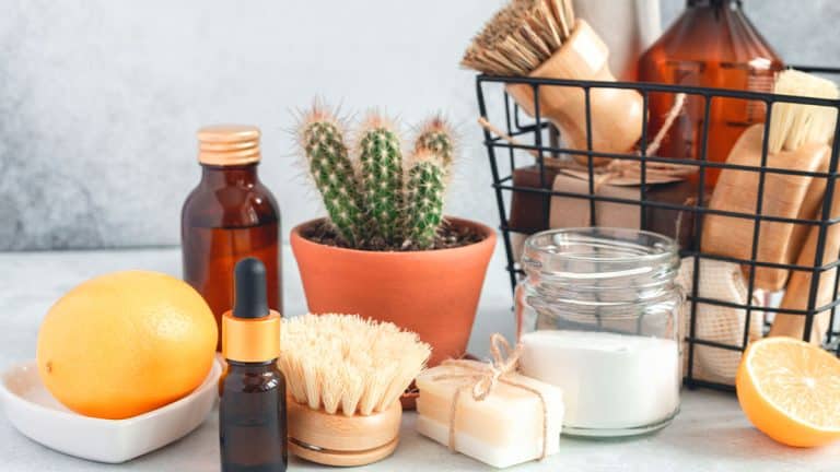 Voici comment créer vos propres cosmétiques à la maison et épargnez tout en beauté