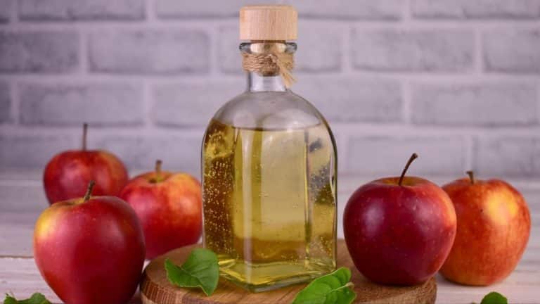 Découvrez les secrets du vinaigre blanc pour un nettoyage efficace et économique à la maison